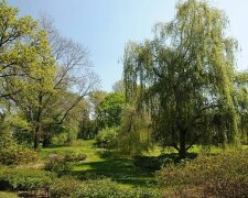 Kraków: kończą się prace w parku Jerzmanowskich. Co się zmieniło w tym miejscu
