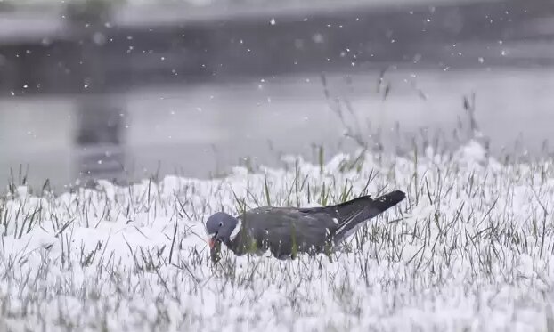 Pogoda szykuje niespodzianki. Źródło: pomorskie.naszemiasto.pl