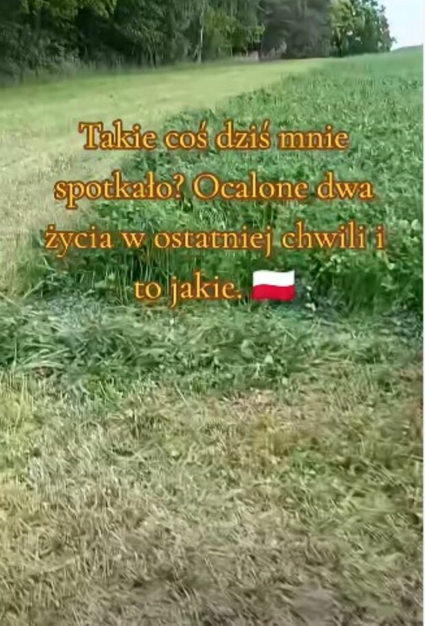 Niezwykłe nagranie/Facebook @Jasiu Funt