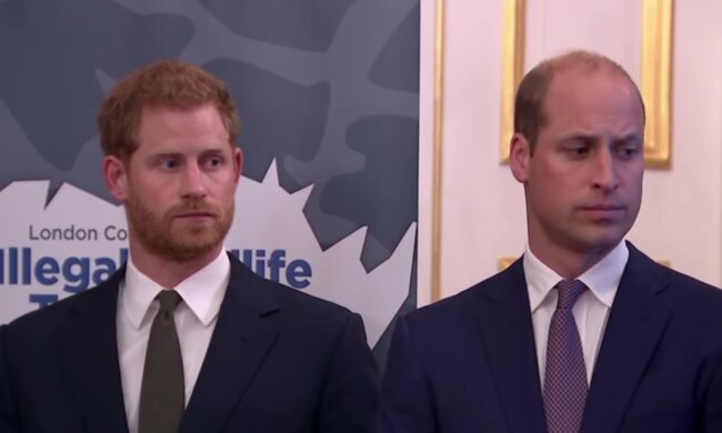 William, Harry/ screen yt