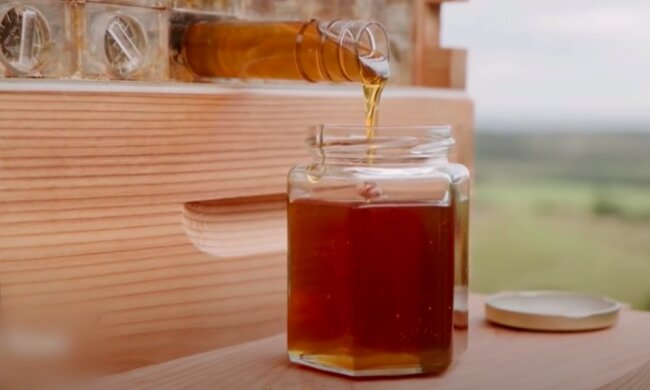 Jak wybrać dobry miód? / YouTube:  Science Channel