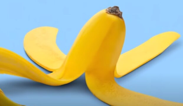 Skórka banana/YouTube @Wiem