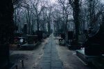 cmentarz @pexels
