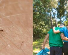 Ostrzeżenie dla spacerowiczów i grzybiarzy. Latające kleszcze opanowały polskie lasy!