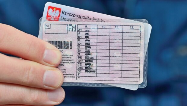 Prawo jazdy. screen: moto.rp.pl