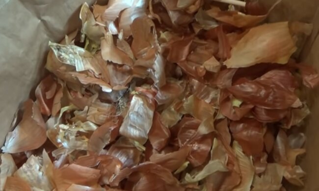 screen Youtube @pervyj zagorodnyj