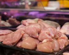 GIS ostrzega przed popularnym kurczakiem. Wykryto groźną bakterię