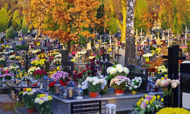 Cmentarz, chryzantemy/Pixabay