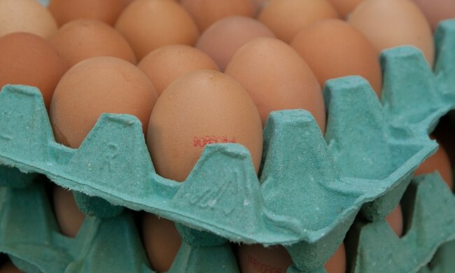Jesienią jajka będą dużo droższe/screen Pixabay