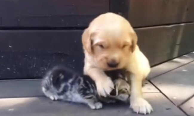 Najlepsi przyjaciele, screen YT