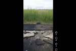 Zarząd Dróg Miejskich w Gliwicach