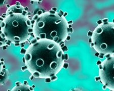 Koronawirus może wywołać epidemie innych chorób? / ifpnews.com