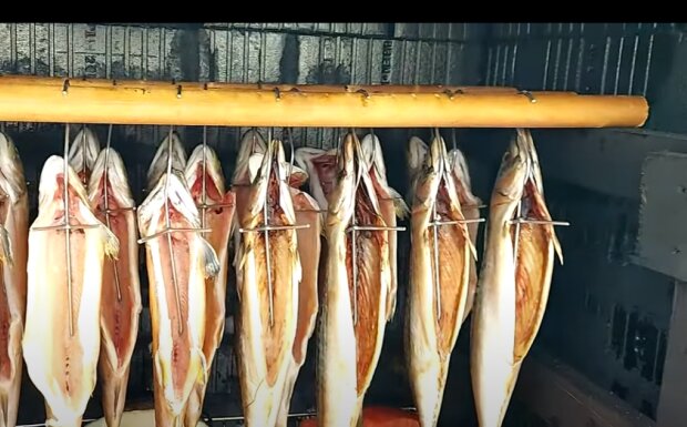 Wędzone ryby/YouTube @Kuchnia TomToma