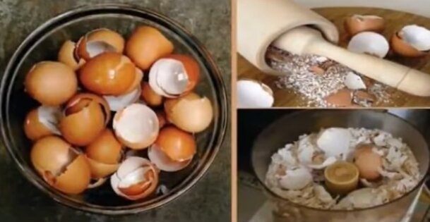 Skorupki od jajek. Źródło: Youtube