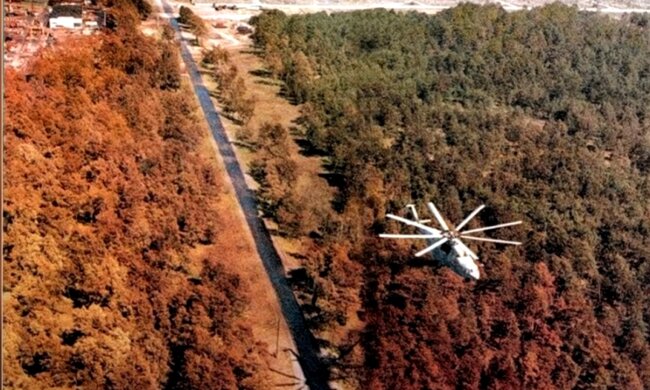 Czerwony las, Czarnobyl/YouTube @Stalker World