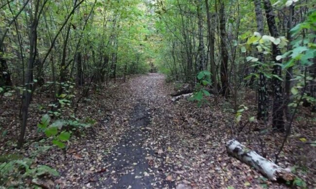 Las/YouTube @Auto repairman PL