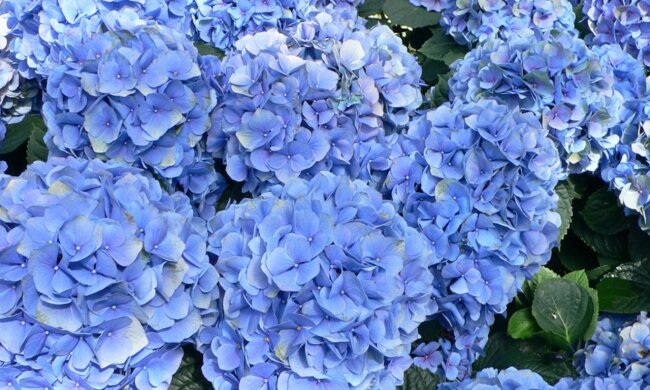 screen Youtube @Veronika Polivkina