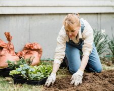 Siostra miała tylko doglądać mojej działki podczas choroby. Na zebraniu ROD usłyszałam, że próbuje ją przejąć