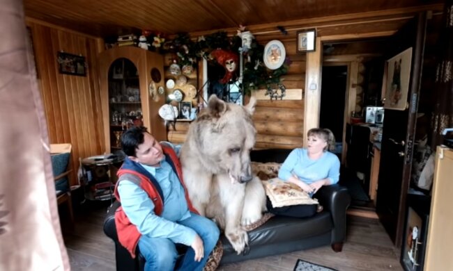 rodzina, która mieszka z niedźwiedziem, screen YT