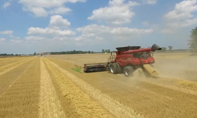 Pszenica/YouTube @TNT EQUIPMENT INC