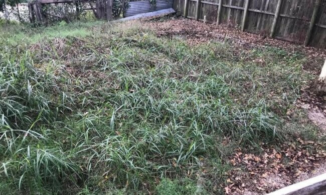 Mężczyzna kupił dom, ale nie wiedział, jaki sekret kryje. Ulewny deszcz ujawnił ten sekret