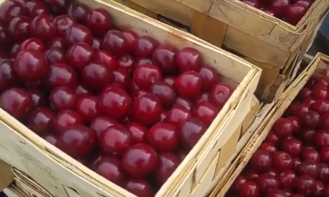 czereśnie / YouTube: WIEJSKIE INSPIRACJE - ogród, kuchnia, zdrowie