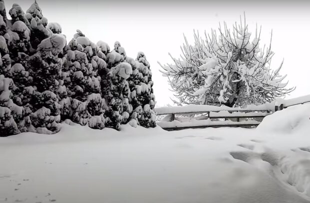 Śnieg/YouTube @Siema Banda