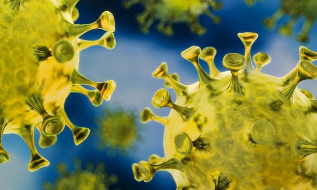 Dwa kolejne ogniska wirusa w Polsce. Gdzie i ile osób chorych