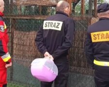 Strażacy pomogli małej sowie. Źródło: tvn24.pl