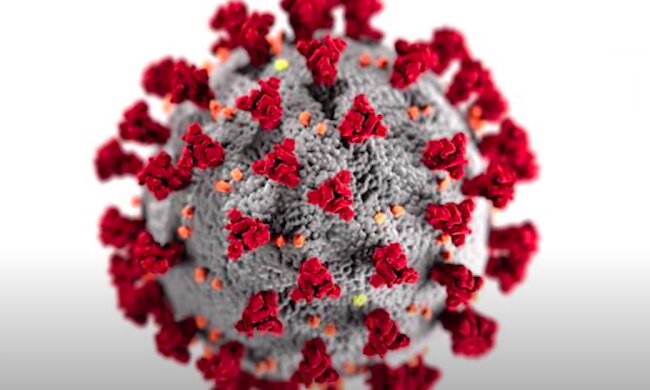 Koronawirus zbiera żniwo / YouTube:  Vox