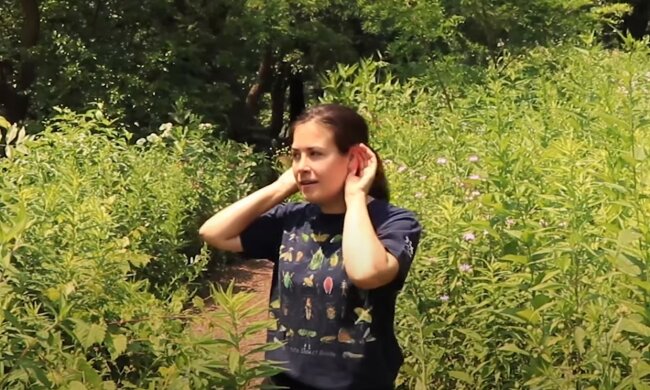 źródło: YouTube/Peggy Notebaert Nature Museum