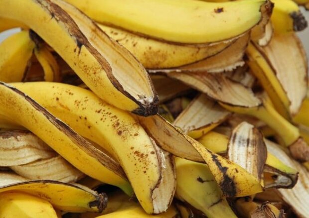 Niesamowity sposób na wykorzystanie skórki od banana. Dzięki niej wszystkie kwiaty dostaną drugie życie