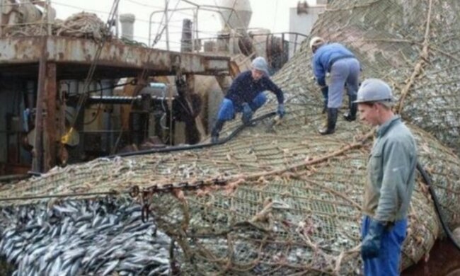 haczyk, screen Google