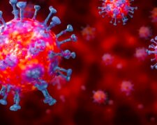Wykryto kolejne przypadki koronawirusa! / bbc.com