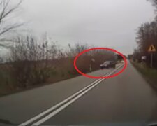Jeleń znalazł się na drodze, samochód dachował. Co stało się ze zwierzęciem i pasażerami [WIDEO]