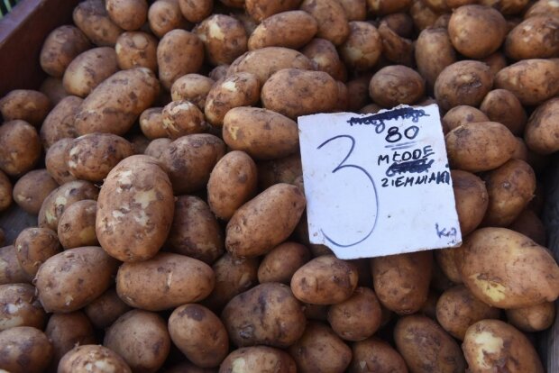 Ceny ziemniaków gwałtownie w górę! W przyszłym roku może być jeszcze gorzej!