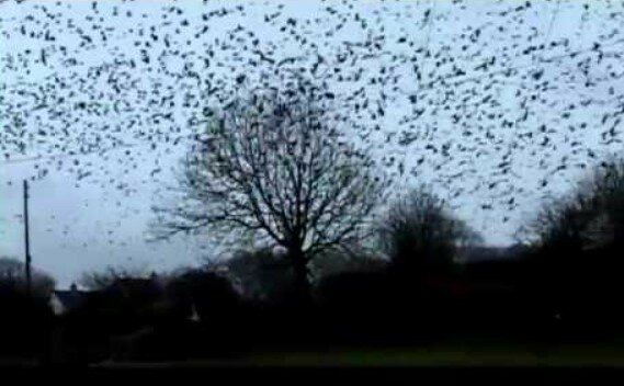 Media obiegła niepokojąca wiadomość. Czy do Polski dotrze niebawem nowa choroba