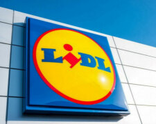 Lidl/ https://www.portalspozywczy.pl/