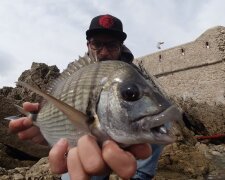 Sargus/YouTube @ Nissa Djé Fishing