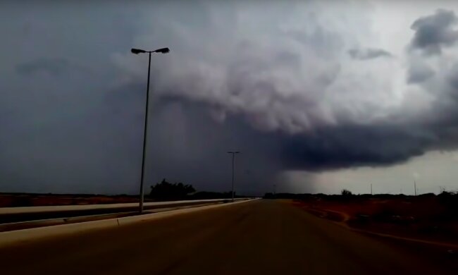 Może być niebezpiecznie! / YouTube:  Nature Video