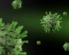 WHO ogłasza międzynarodowy alarm. Chodzi o groźny wirus