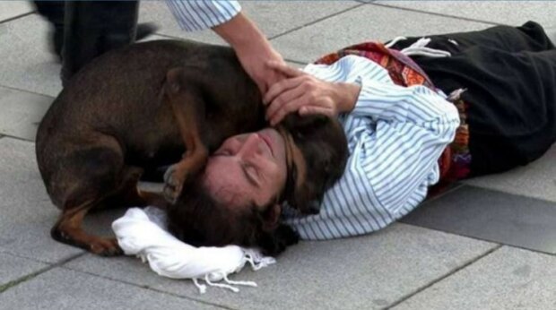 Bezpański pies interweniował podczas spektaklu, aby „uratować” aktora i poruszył wszystkich widzów