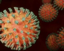 Małopolska: w poniedziałek odnotowano kilkanaście przypadków zakażenia koronawirusem. Są też pozytywne informacje