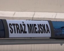 Kraków: niecodzienne zgłoszenie do straży miejskiej. Pobudzony student zdewastował samochód i uciekał przed funkcjonariuszami. Co się stało