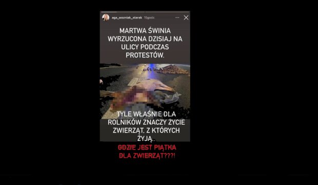 Strajk rolników w Warszawie/Instagram agnieszka_woźniak_starak