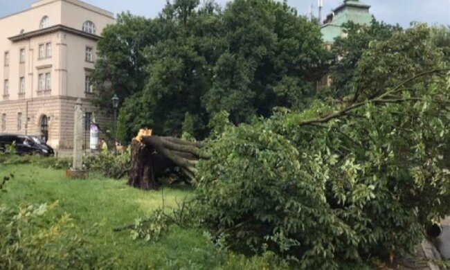 Przerażające skutki wczorajszych nawałnic/ Youtube:Vallord MIX