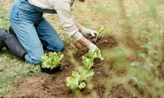 Z życia wzięte. "Moja mama każdej jesieni mówi, że ma dość działki": Wiosną wraca tam jak gdyby nigdy nic, a ja mam już tego serdecznie dosyć