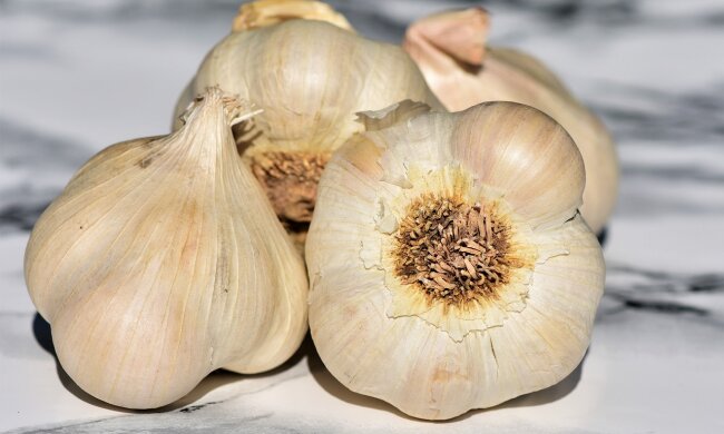 Czosnek, źródło: Pixabay