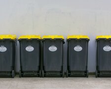 Nie każdy Polak musi płacić za śmieci. Oto kogo dotyczą zwolnienia z opłat