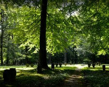 Pogoda na Wszystkich Świętych już znana. Szykuje się niespodzianka